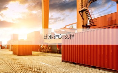 南寧比亞迪薪資與計(jì)算機(jī)崗位待遇解析及管材行業(yè)對比