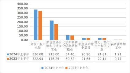 2024年上半年全市發(fā)電量與工業(yè)用電量分析 管材行業(yè)能耗透視